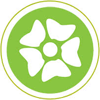 autoflowering seeds