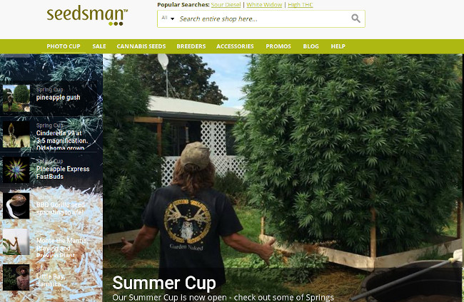 free marijuana seeds giveaway competition