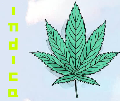 indica seeds