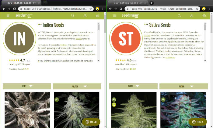 indica seeds vs sativa seeds