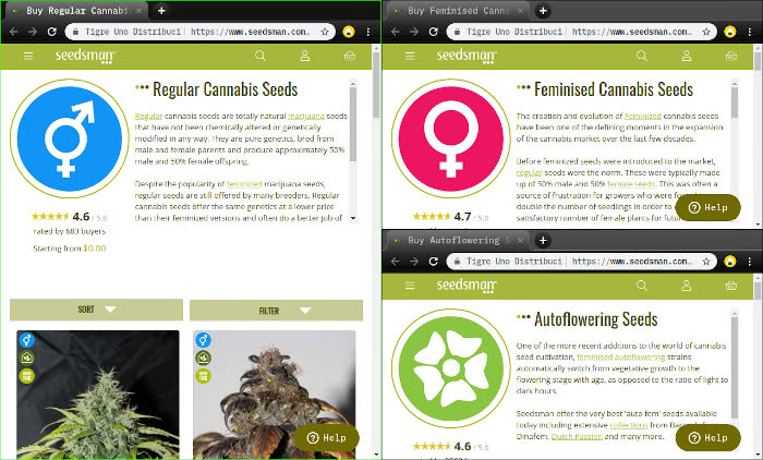 regular seeds vs feminized seeds vs autoflowering seeds