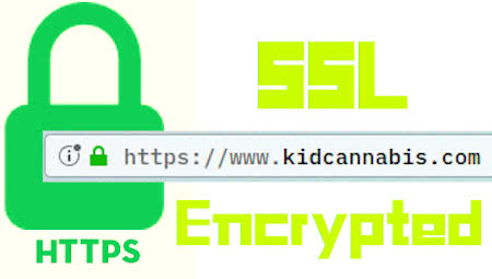 ssl encrypted https