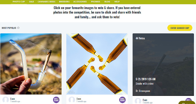 Vote for The Winners of the Free Seed Giveaway Cannabis Photo Competition